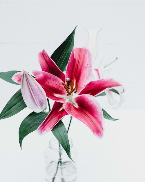 Photo & Urn Tributes